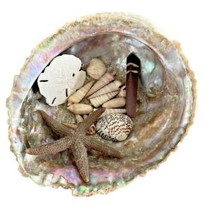 Vintage Natural Abalone Sea Shell W/ Starfish Sand Dollar Seashells Beach Decor